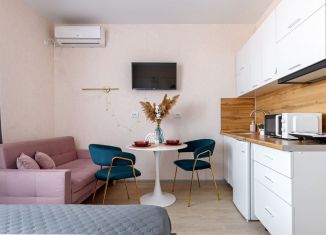 Сдам квартиру студию, 26 м2, Краснодар, улица имени Дзержинского, 110Ак1, микрорайон Горхутор