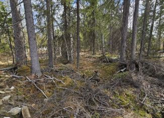 Продается участок, 11 сот., Костомукша, Вербный переулок, 47