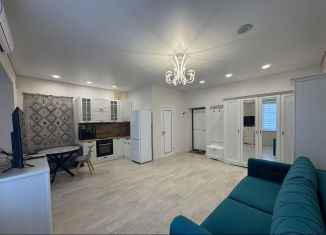 Сдача в аренду однокомнатной квартиры, 37 м2, поселок Темерницкий, Центральная улица, 3к3