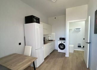 Однокомнатная квартира в аренду, 33 м2, Краснодар, Воронежская улица, 47/10, микрорайон Черемушки