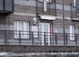 Продается помещение свободного назначения, 46 м2, Санкт-Петербург, улица Михаила Дудина, 23к1