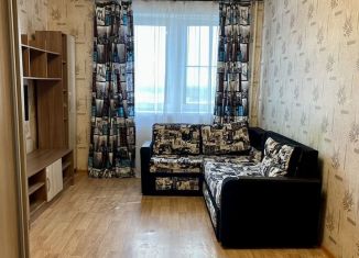 Сдается 1-ком. квартира, 32.7 м2, деревня Новое Девяткино, Арсенальная улица, 1, ЖК Девяткино