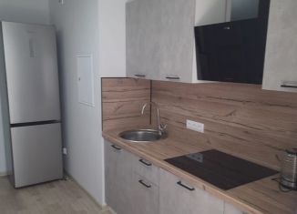 2-комнатная квартира в аренду, 50 м2, Ростов-на-Дону, улица Ерёменко, 110/2с2, ЖК Пятый Элемент