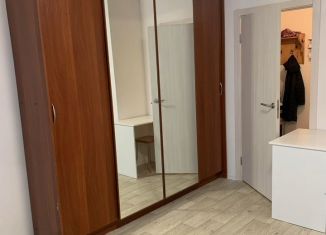 Сдам в аренду квартиру студию, 24.2 м2, деревня Новое Девяткино, Главная улица, 12, ЖК Заречный Парк