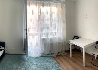 Сдается квартира студия, 28 м2, Мурино, Екатерининская улица, 6к1, ЖК Виктория