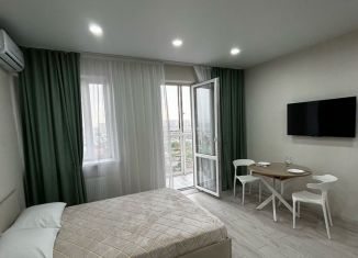 Сдаю в аренду квартиру студию, 25 м2, Краснодар, Российская улица, 257/7, микрорайон Завод Радиоизмерительных Приборов