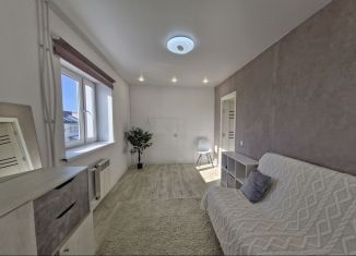 Продается 1-комнатная квартира, 30 м2, Карелия, Восточная улица, 1