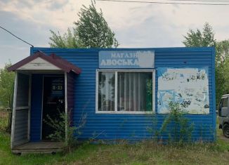 Продаю помещение свободного назначения, 28 м2, Хабаровский край, улица Ленина, 27