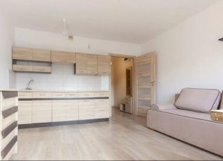 Продам квартиру студию, 24 м2, Санкт-Петербург, улица Лётчика Пилютова, 44к2, метро Проспект Ветеранов