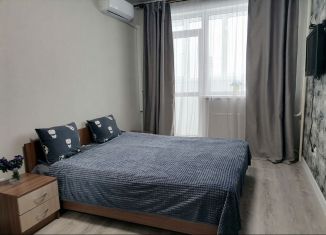 Сдаю в аренду 1-комнатную квартиру, 40 м2, Ульяновск, улица Аблукова, 16