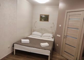Сдам 2-комнатную квартиру, 50 м2, Сочи, улица Ленина, 146, микрорайон Центральный