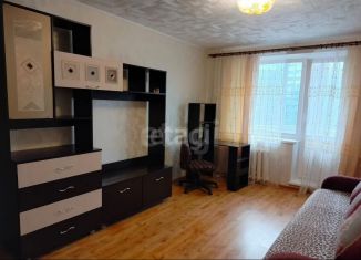 Сдаю в аренду 1-ком. квартиру, 33.6 м2, Сыктывкар, Петрозаводская улица, 21, район Орбита