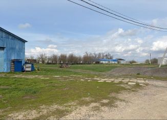 Продаю земельный участок, 290 сот., поселок Овощной, улица Максима Горького, 14