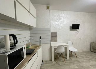 Квартира в аренду студия, 27.7 м2, Мурино, Ручьёвский проспект, 3к1