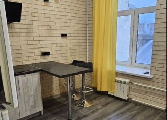 Продается квартира студия, 22.9 м2, Санкт-Петербург, улица Рубинштейна, 24, Центральный район