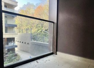 Продажа 1-комнатной квартиры, 28 м2, Сочи, Пластунская улица, 104Бк1, микрорайон Заречный