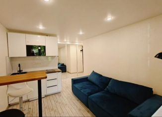 Квартира на продажу студия, 22 м2, Москва, Студёный проезд, 38к2, Студёный проезд