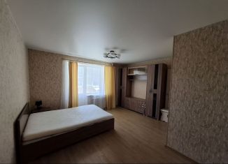 Сдам в аренду однокомнатную квартиру, 34 м2, Пенза, 5-й Виноградный проезд, 3