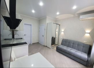 Сдам квартиру студию, 19 м2, Сочи, улица 20 Горнострелковой дивизии, 40А, микрорайон Бытха