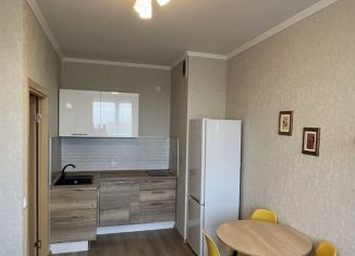 Сдача в аренду 1-комнатной квартиры, 40 м2, посёлок Парголово, Заречная улица, 15к1