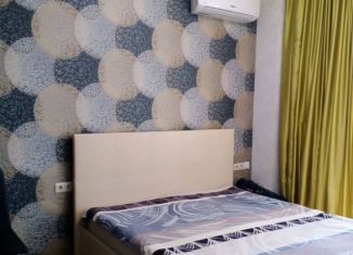 Продажа квартиры студии, 28.1 м2, село Орёл-Изумруд, Петрозаводская улица, 32к1, ЖК Озёрный