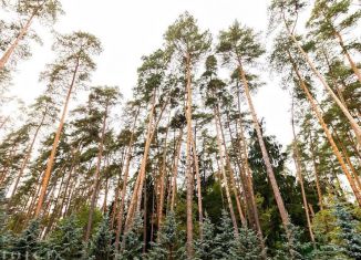 Продам участок, 38 сот., деревня Бородки