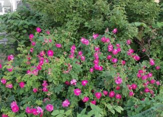 1-комнатная квартира на продажу, 38.1 м2, Саратов, улица имени А.В. Плякина, 3А, ЖК Авиатор