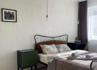 Сдается в аренду 1-комнатная квартира, 45 м2, Калининград, улица Героя России Виталия Мариенко, 3, Ленинградский район