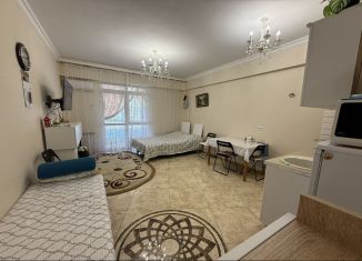 Сдаю в аренду квартиру студию, 42 м2, посёлок городского типа Дагомыс, улица Гайдара, 20