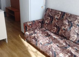 Сдам квартиру студию, 23 м2, деревня Афонино, улица Красная Поляна, 2