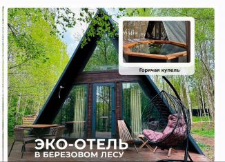 Сдается в аренду дом, 40 м2, деревня Бакино, Зареченская улица, 33