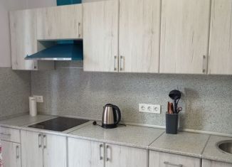 Сдаю в аренду 1-ком. квартиру, 36 м2, Ростов-на-Дону, улица Ерёменко, 110с1, ЖК Пятый Элемент