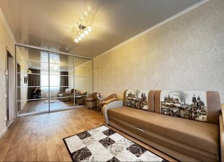 Сдается в аренду 1-комнатная квартира, 43 м2, Пенза, улица Ворошилова, 19