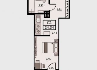 Продажа квартиры студии, 25 м2, Ростов-на-Дону, Красноармейская улица, 157Вс1, ЖК Рубин