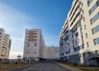 2-ком. квартира на продажу, 48 м2, посёлок Шушары, Московское шоссе, 256к3, ЖК Вариант