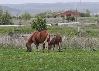 Продаю участок, 7 сот., село Старый Айван, Школьная улица