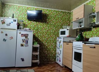 Дом на продажу, 67 м2, село Паша, улица Павла Нечесанова