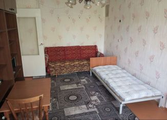2-комнатная квартира в аренду, 45 м2, Ленинградская область, проспект Ленина, 12