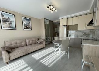 Продается квартира студия, 30 м2, Пушкино, Ярославское шоссе, 192