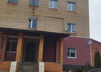 Трехкомнатная квартира на продажу, 78.5 м2, деревня Мизиново, Набережная улица, 58