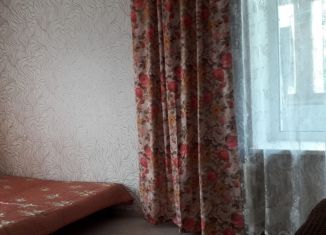 Аренда 2-комнатной квартиры, 50 м2, Екатеринбург, улица Стрелочников, 13, улица Стрелочников