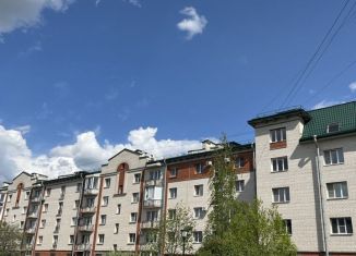 Продается 4-комнатная квартира, 112.9 м2, Колпино, улица Анисимова, 5к2