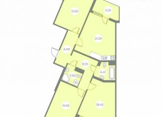 Продаю 3-комнатную квартиру, 96 м2, Санкт-Петербург, метро Озерки