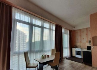 Сдам 1-комнатную квартиру, 40 м2, Сочи, улица Яна Фабрициуса, 2/28А, микрорайон Яна Фабрициуса