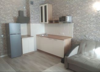 Сдам квартиру студию, 30 м2, Екатеринбург, улица Азина, 22/7, ЖК Мельница