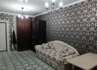Квартира в аренду студия, 23 м2, село Супсех, Советская улица, 51