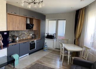 Сдаю в аренду 1-комнатную квартиру, 50 м2, посёлок Шушары, Вишерская улица, 18