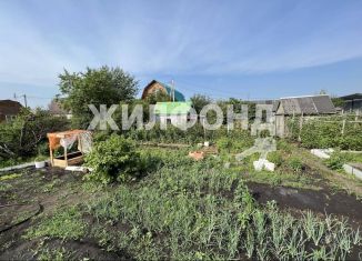 Продам дачу, 20 м2, Новосибирск, Кировский район