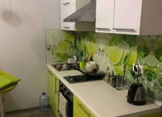 Продаю квартиру студию, 24.7 м2, Кудрово, Пражская улица, 9, ЖК Вернисаж