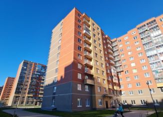 Продажа двухкомнатной квартиры, 54 м2, Колпино, улица Севастьянова, 30к1, ЖК Новое Колпино